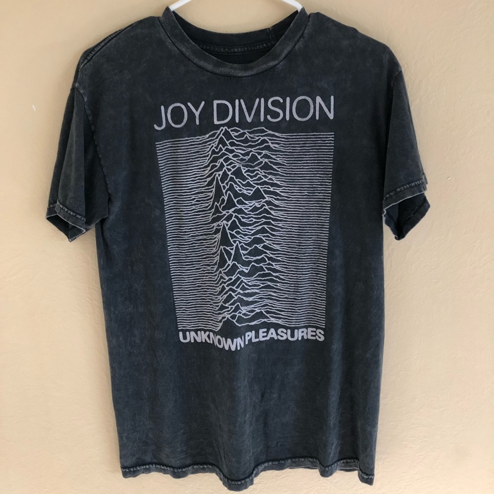 Limited edition Brandy Melville distressed band T